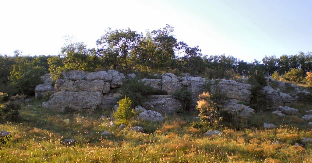 Пчолине з panoramio.com - Pcholyne
