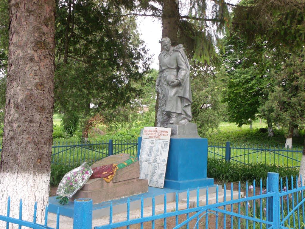 Тарноруда з panoramio.com - Tarnoruda