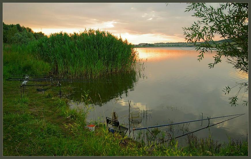 Містки з panoramio.com - Мостки