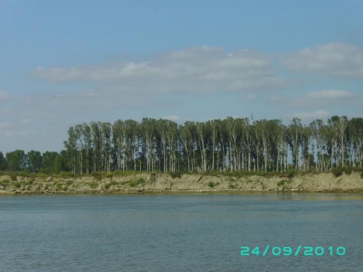Кислиця з panoramio.com - Кислиця