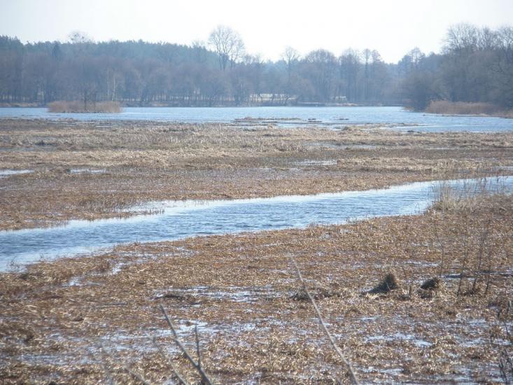 Бондарівка з panoramio.com - Бондарівка