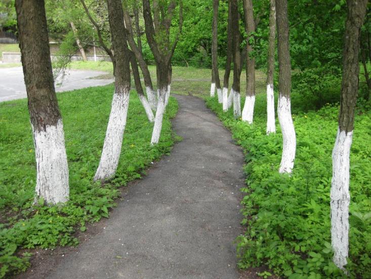 Лісники з panoramio.com - Лесники