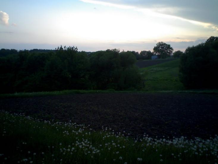 Дерегівка з panoramio.com - Дерегівка