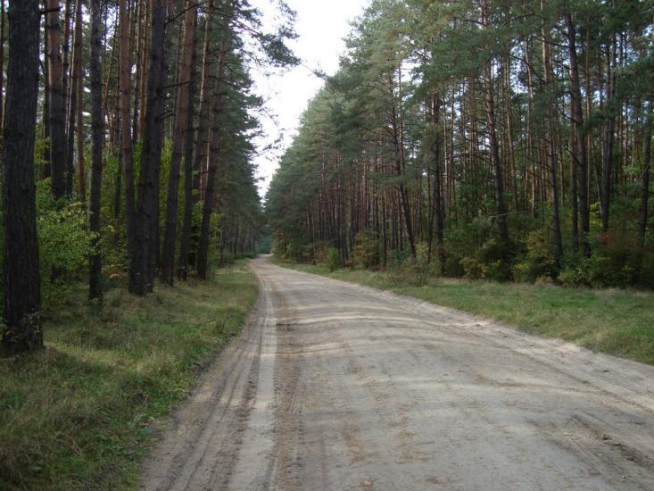 Судилків з panoramio.com - Судилков