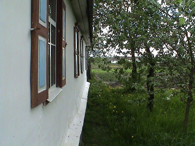 Забріддя з panoramio.com - Zabriddya