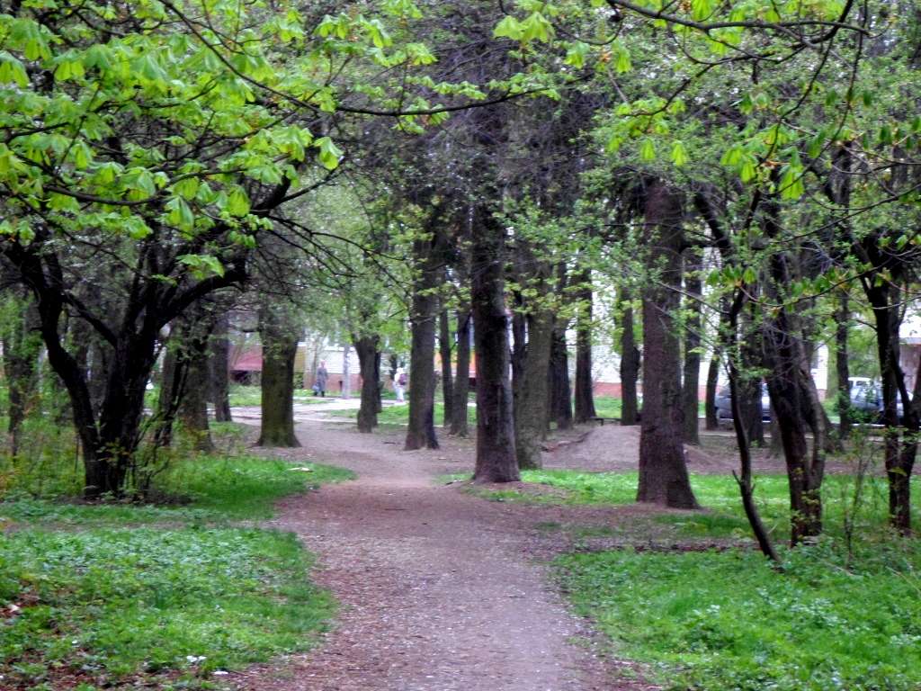 парки - Стрый