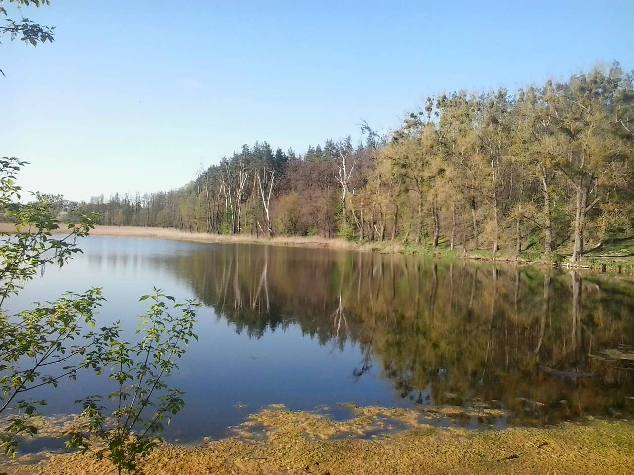 Неграшівський Неграш - Неграши