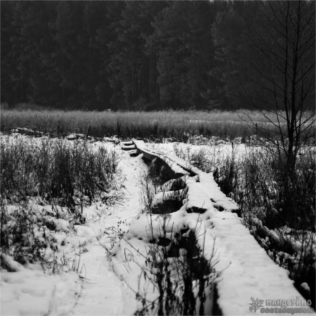 Мала Перещепина з panoramio.com - Малая Перещепина