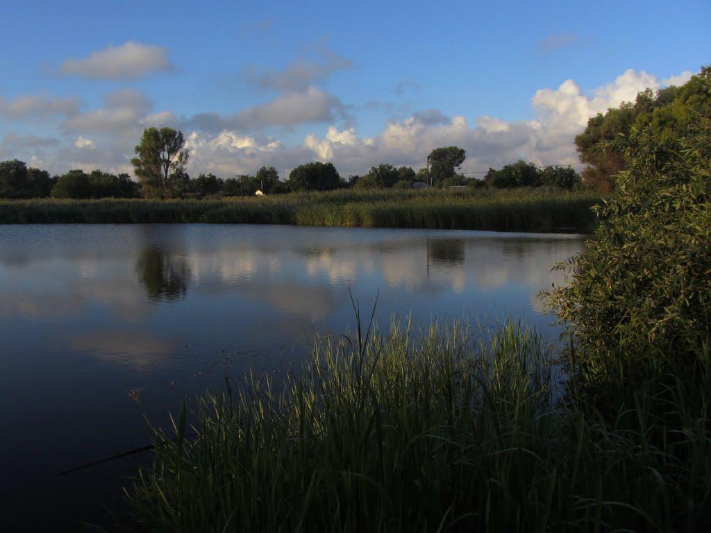 Градизьк з panoramio.com - Gradyzk