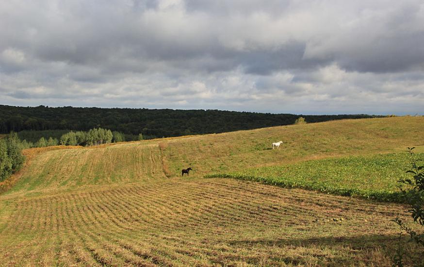 Гнатівка з panoramio.com - Гнатівка