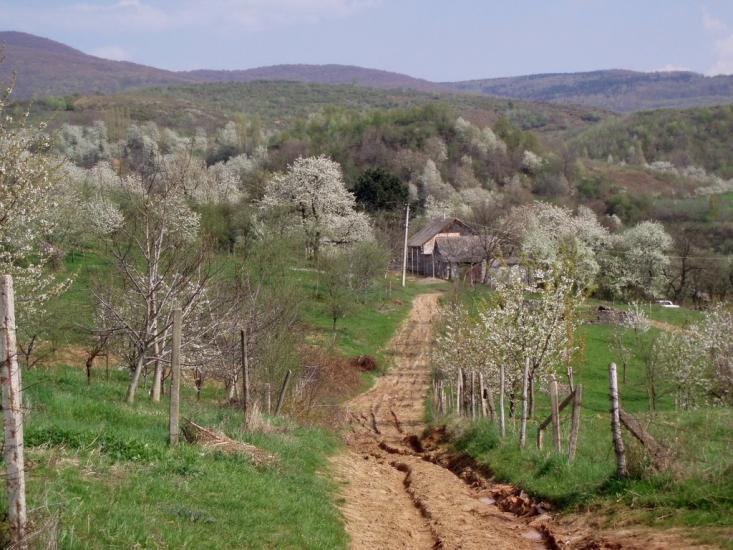 Хижа з panoramio.com - Хижа