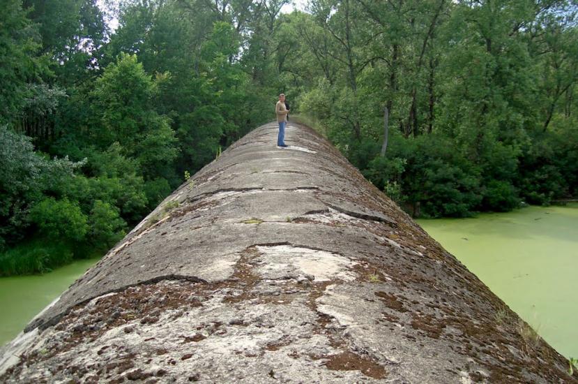 Лісники з panoramio.com - Лесники