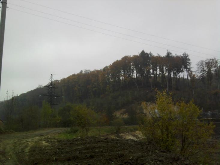 Винники з panoramio.com - Винники