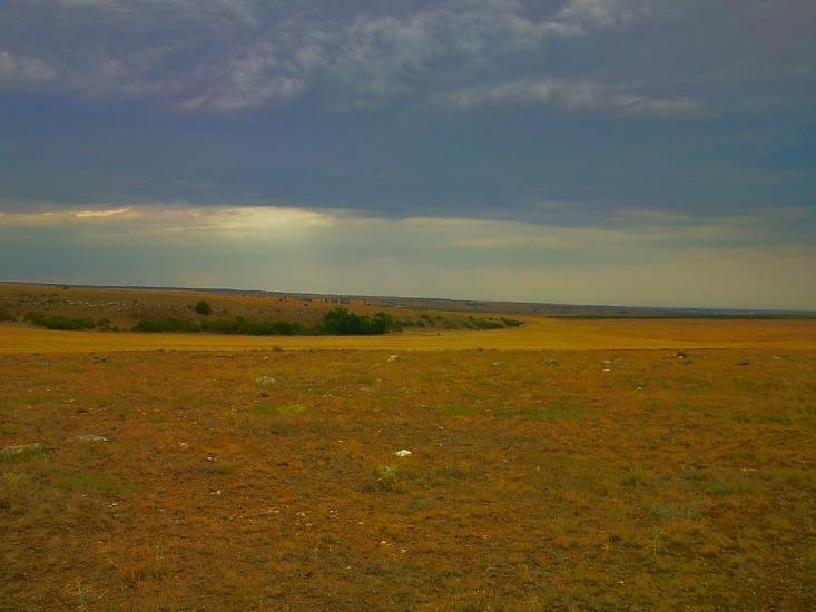 Каштани з panoramio.com - Каштани