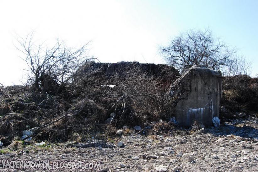 Зелена Гута з panoramio.com - Зеленая Гута
