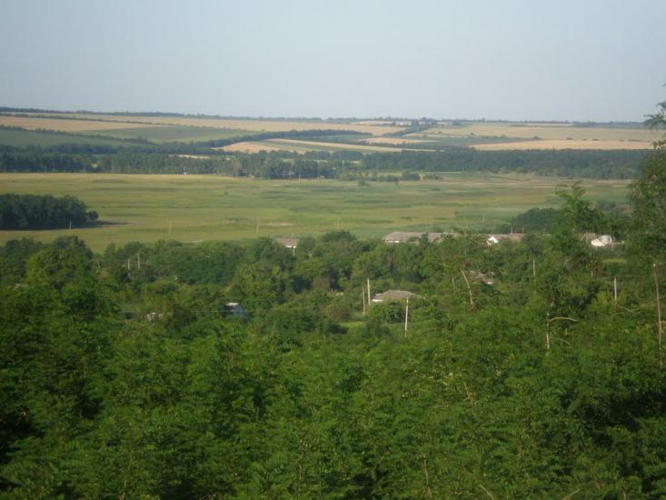 Криве Озеро з panoramio.com - Кривое Озеро