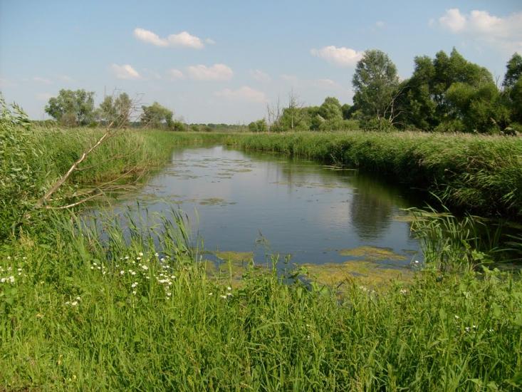 Лукашівка з panoramio.com - Лукашівка