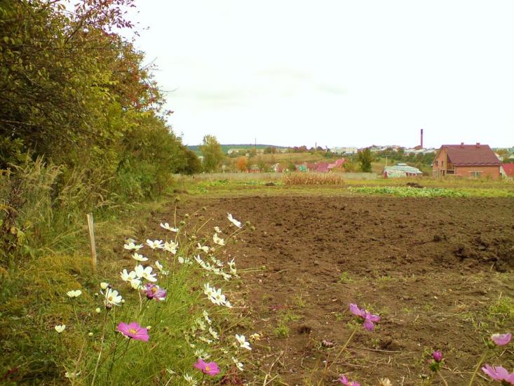 Лісники з panoramio.com - Лесники