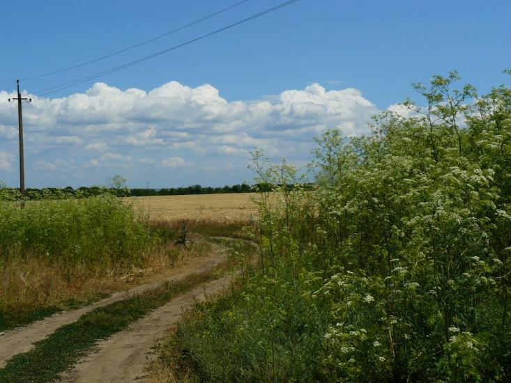 Південне з panoramio.com - Pivdenne