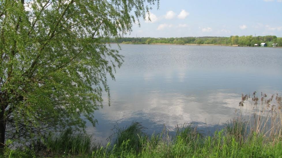 Северинівка з panoramio.com - Северинівка