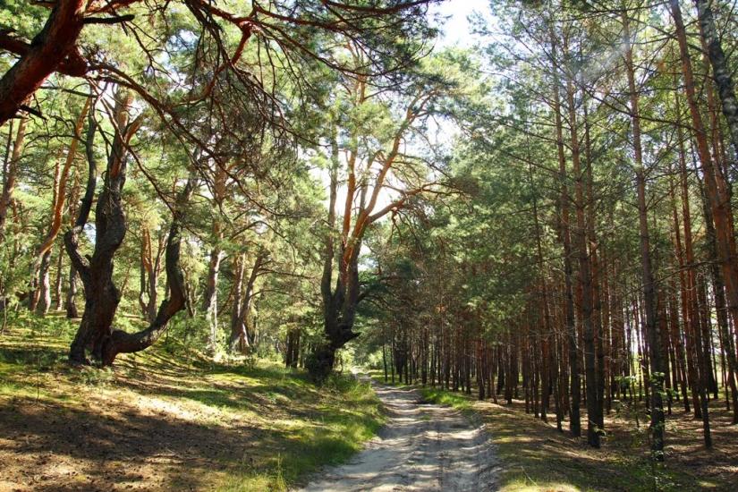 Островки з panoramio.com - Островки