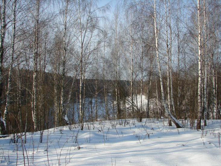 Мохначі з panoramio.com - Мохначі