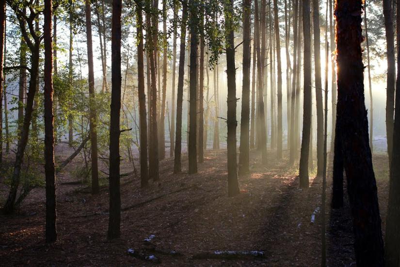 Ямпіль з panoramio.com - Ямполь