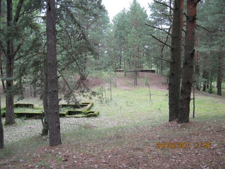 Тинне з panoramio.com - Тынное