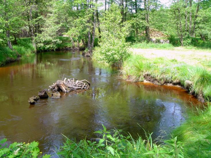 Хрипськ з panoramio.com - Хрипск