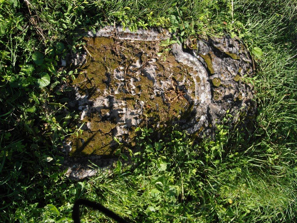 Тарноруда з panoramio.com - Tarnoruda