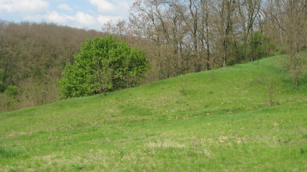Северинівка з panoramio.com - Северинівка