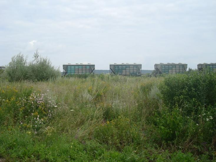 Гуменці з panoramio.com - Гуменці
