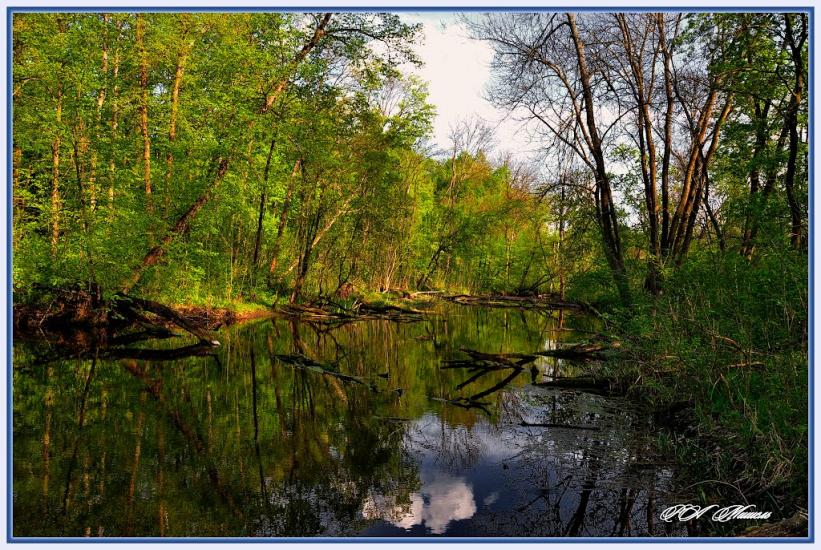 Серебрянка з panoramio.com - Serebryanka