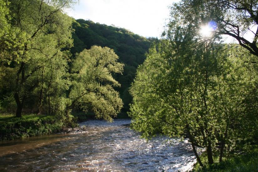 Миколаївка з panoramio.com - Миколаївка