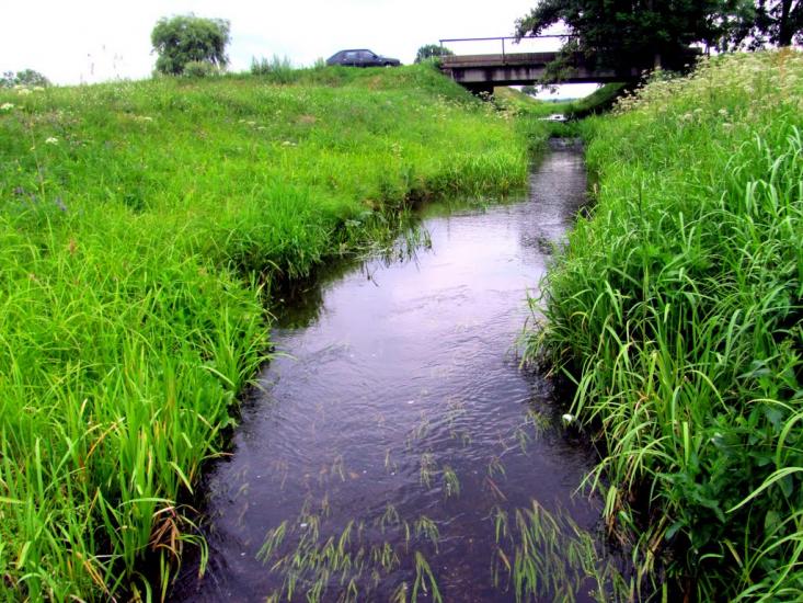 Чудля з panoramio.com - Чудля