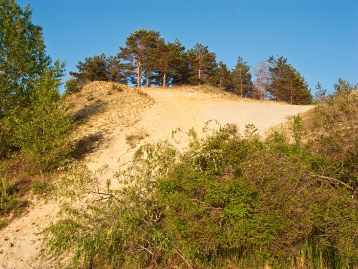 Луковиця з panoramio.com - Луковица