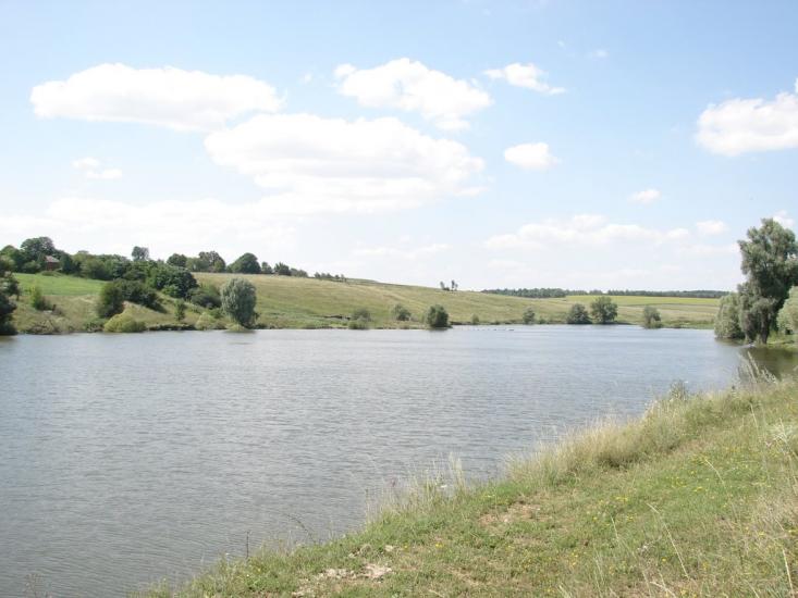 Гнилиця з panoramio.com - Гнилиця