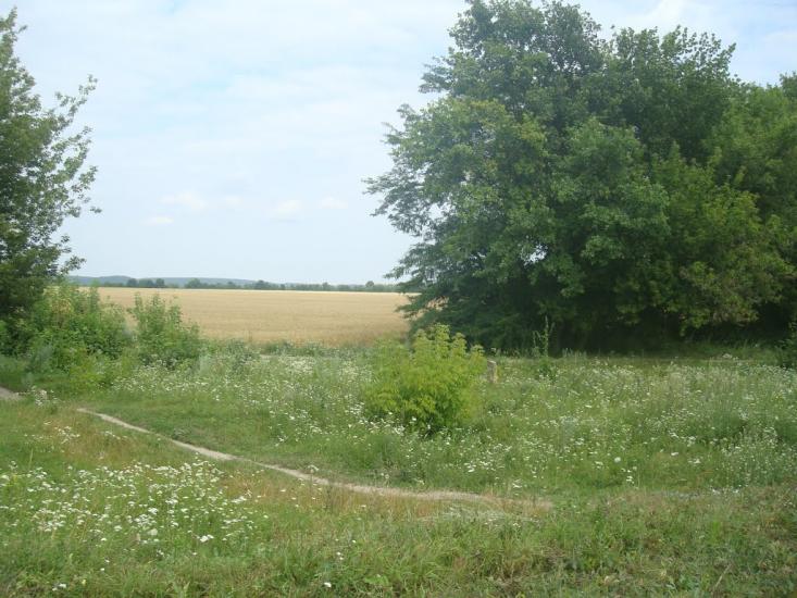 Слобідка-Гуменецька з panoramio.com - Slobidka-Gumenetska