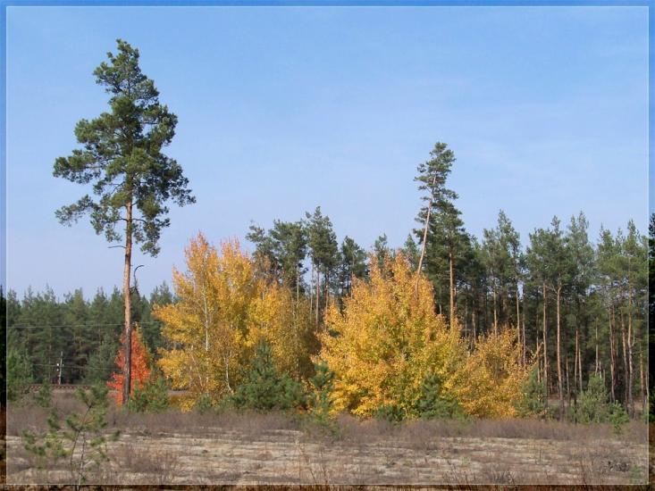 Ямпіль з panoramio.com - Ямпіль