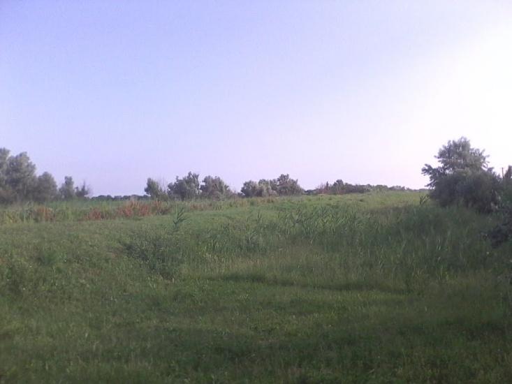 Червона Зірка з panoramio.com - Червоная Зирка