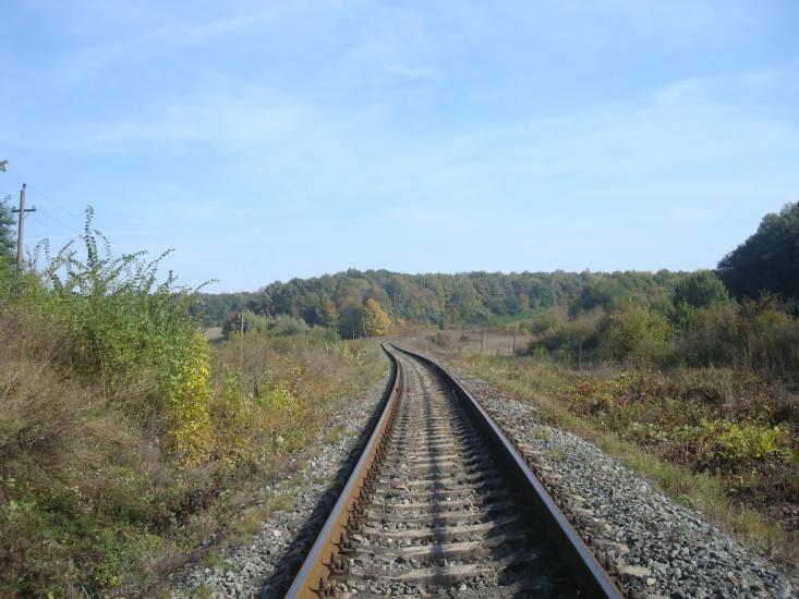 Дубівка з panoramio.com - Дубівка