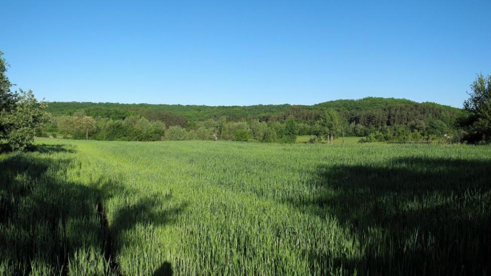 Кам'янка з panoramio.com - Kamyanka