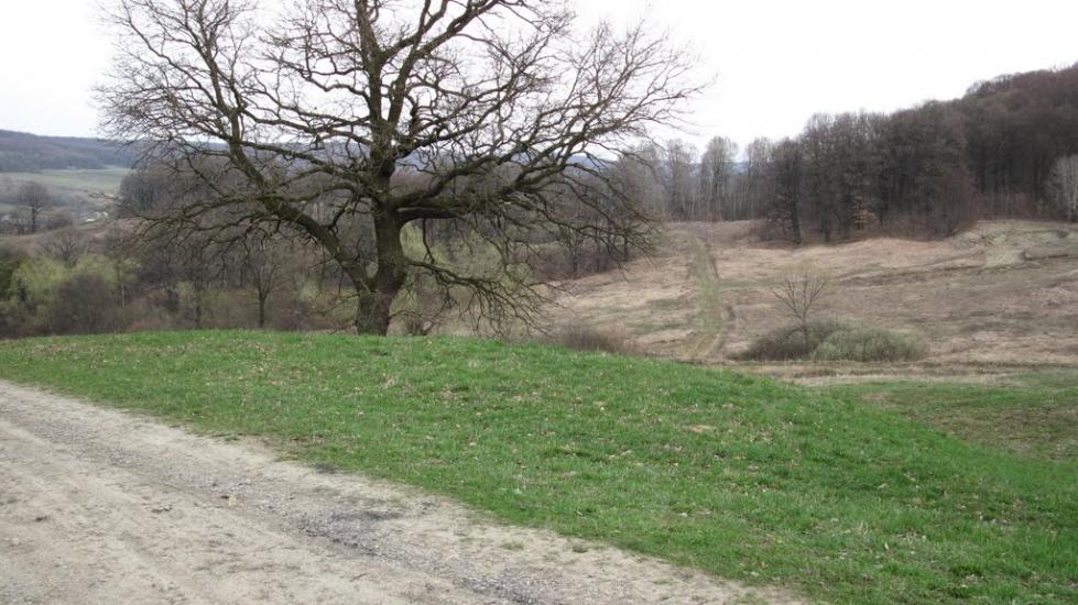 Молодія з panoramio.com - Molodiya