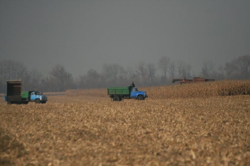 Соколова Балка з panoramio.com - Соколова Балка