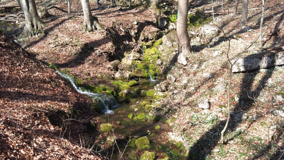 Овражки з panoramio.com - Овражки