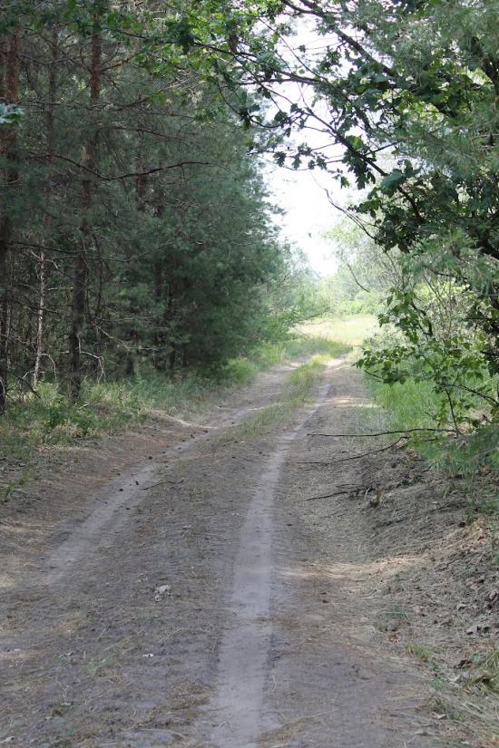 Малий Орчик з panoramio.com - Малий Орчик