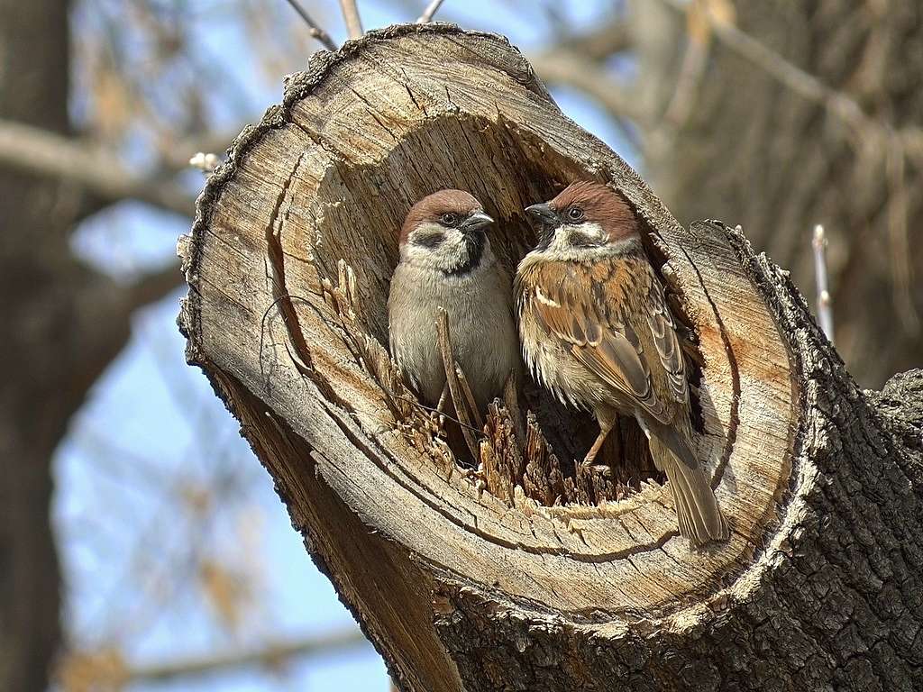  Нашего КРАЯ ПРИРОДА - Великие Крынки