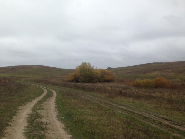 Тишевичі з panoramio.com - Тишевичі