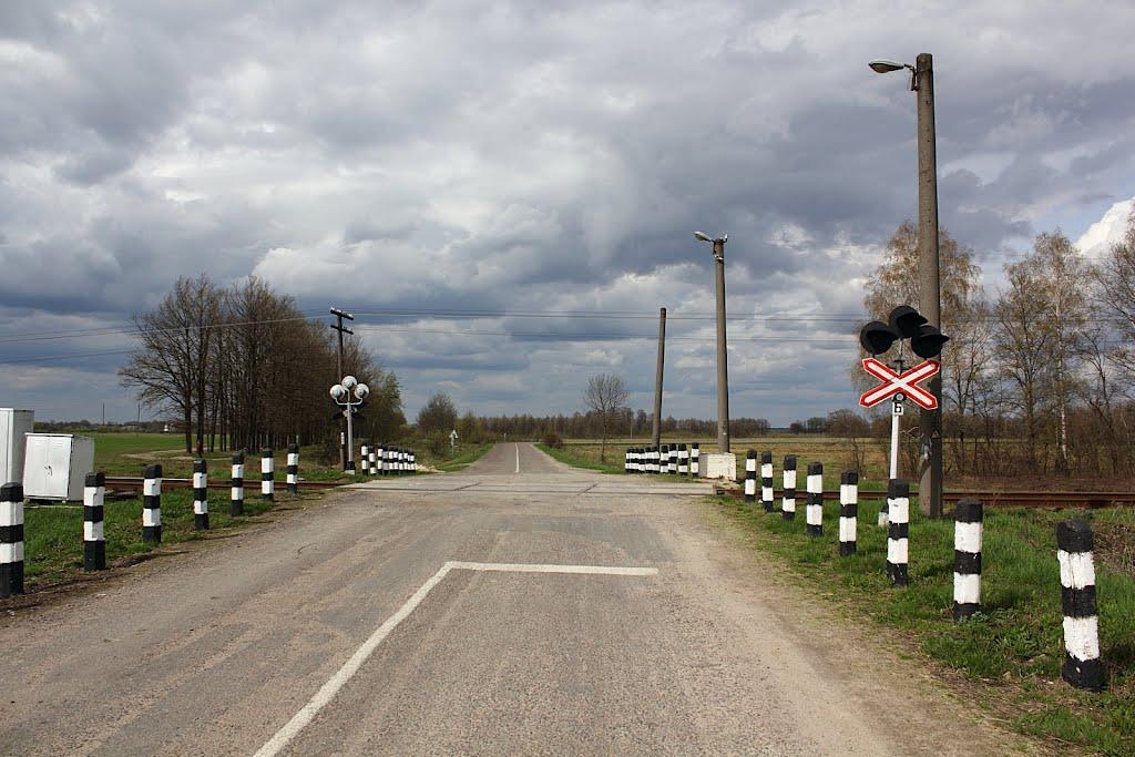 Курне з panoramio.com - Курне