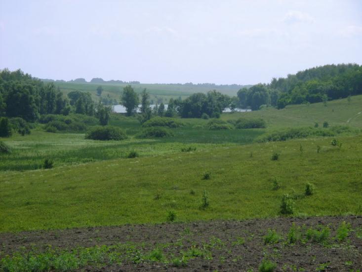 Шийки з panoramio.com - Шийки